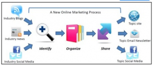 Curation Process