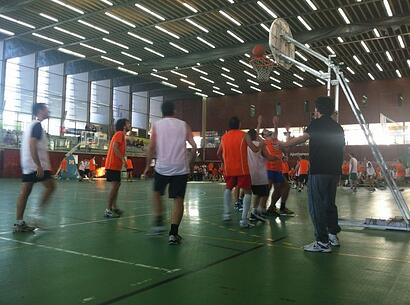 Elogia Basket Elogia Basket