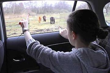 Toyota Realidad Aumentada Toyota Realidad Aumentada