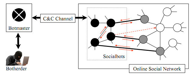 Socialbot Network. Cada nodo representa un perfil. Los Socialbots en negro y los perfiles infiltrados en gris. Los ejes entre nodos representan conexiones sociales y las flechas interacciones. 