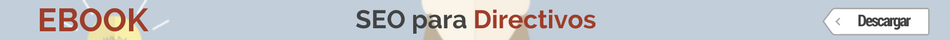 seo para directivos