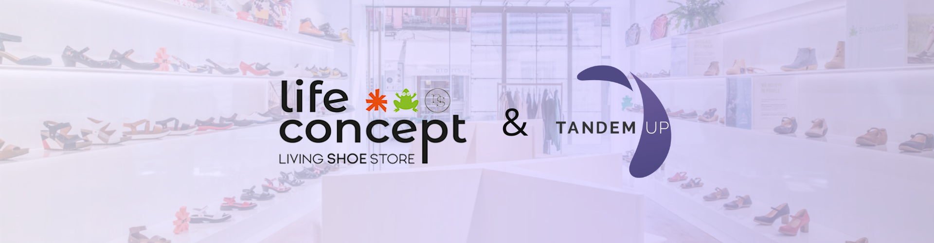 Life Concept & Tandem Up: Un caso de éxito de internacionalización en marketplaces