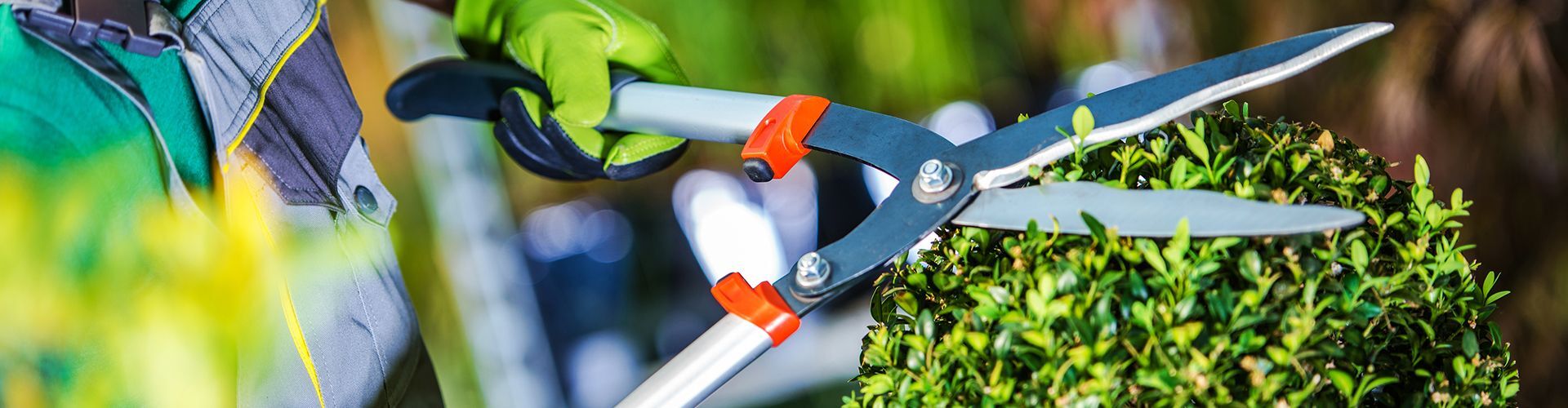 Mano mano, el marketplace de referencia para bricolaje y jardinería
