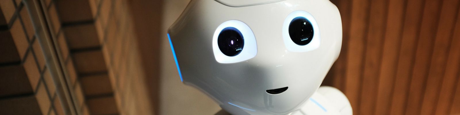 ¿Optimización basada en la máquina o en la persona?